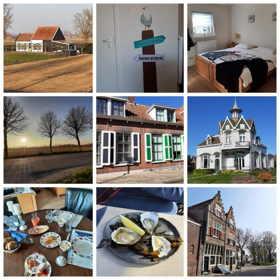 De Nieuwe Stal Appartement Scherpenisse Buitenkant foto
