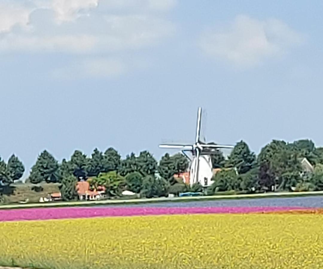 De Nieuwe Stal Appartement Scherpenisse Buitenkant foto