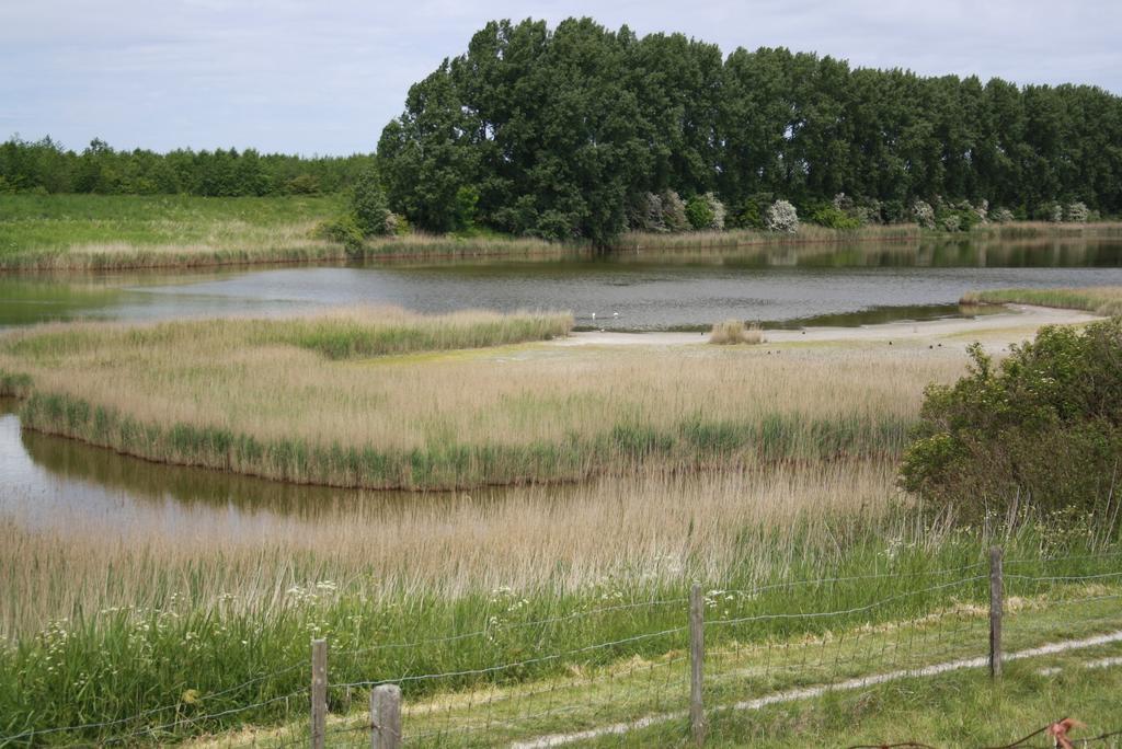 De Nieuwe Stal Appartement Scherpenisse Buitenkant foto